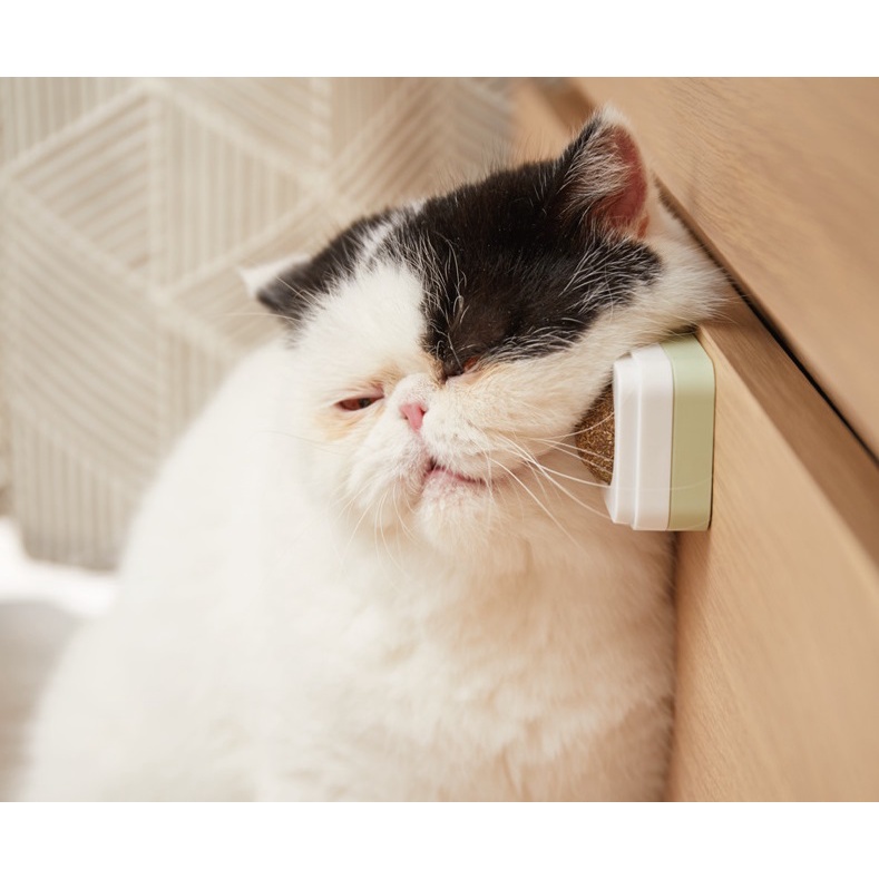 Viên catnip gắn tường cho mèo - Viên cỏ bạc hà giúp mèo chơi đùa giảm stress