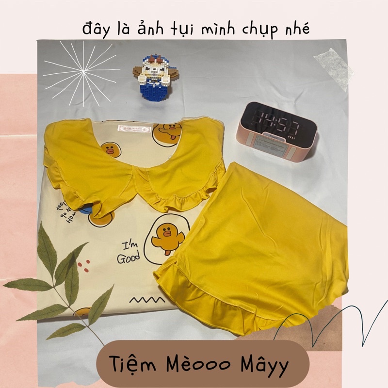 Đồ Ngủ 🌸Bộ Đồ Ngủ Nữ Ngắn Tay Xinh Xắn Cổ Bèo Mùa Hè Cute Phong Cách Hàn Quốc-Tiệm Mèoo Mâyy | BigBuy360 - bigbuy360.vn