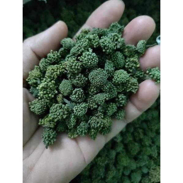 💥(500 Gr) NỤ HOA TAM THẤT LOẠI I | BigBuy360 - bigbuy360.vn