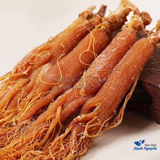 Nhị Hồng Sâm (Nhân Sâm, Sâm Râu) 100g - Nguyên chất không tẩm mật ong