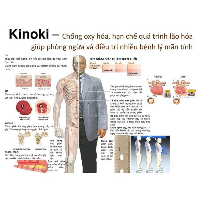 50 miếng dán chân thải độc tố Kinoki Detox Foot Patch