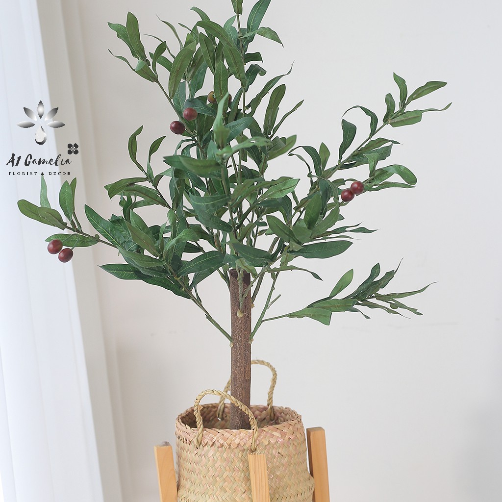 Cây Decor - Cây Oliu Camelia + Tặng Kèm Giỏ Decor Cao Cấp, Chiều Cao 0,8m, Chất Liệu Lá Không Bám Bẩn,Quả Oliu Như Hình | BigBuy360 - bigbuy360.vn