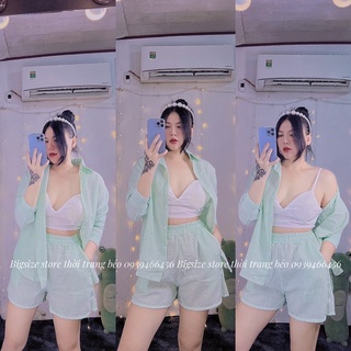 SET SƠMI 3 MÓN KÈM BRA SIÊU XINH [BIGSIZE 55-90KG]