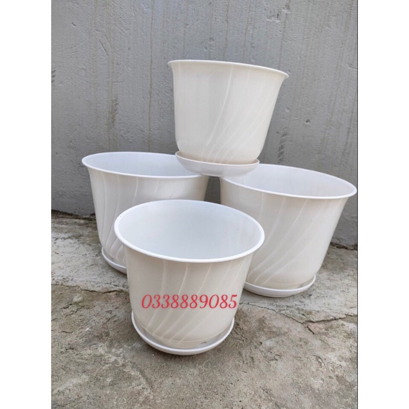 Chậu nhựa Bom kèm đĩa giả sứ trồng cây siêu xinh