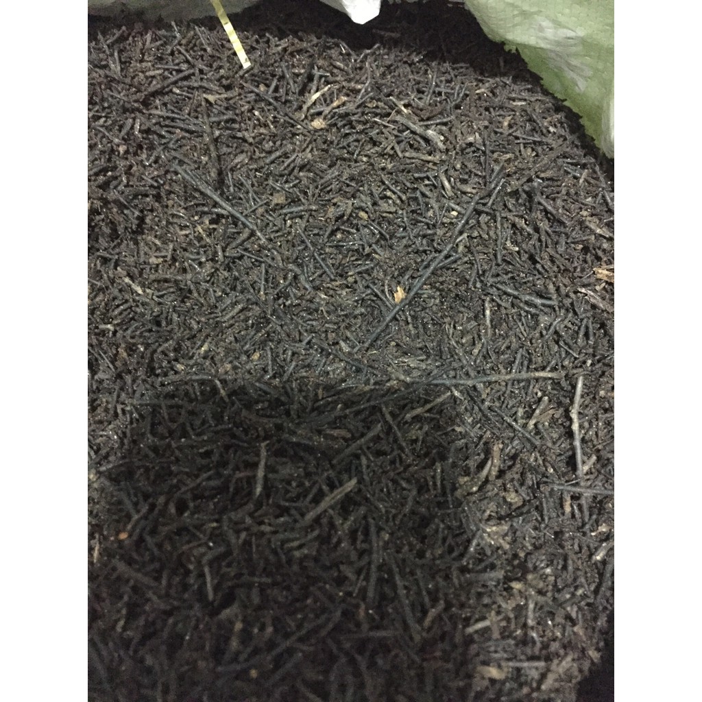 Dớn cọng xay nhỏ 1kg dùng trồng lan
