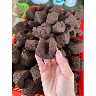 Mút ươm kie Hà lan