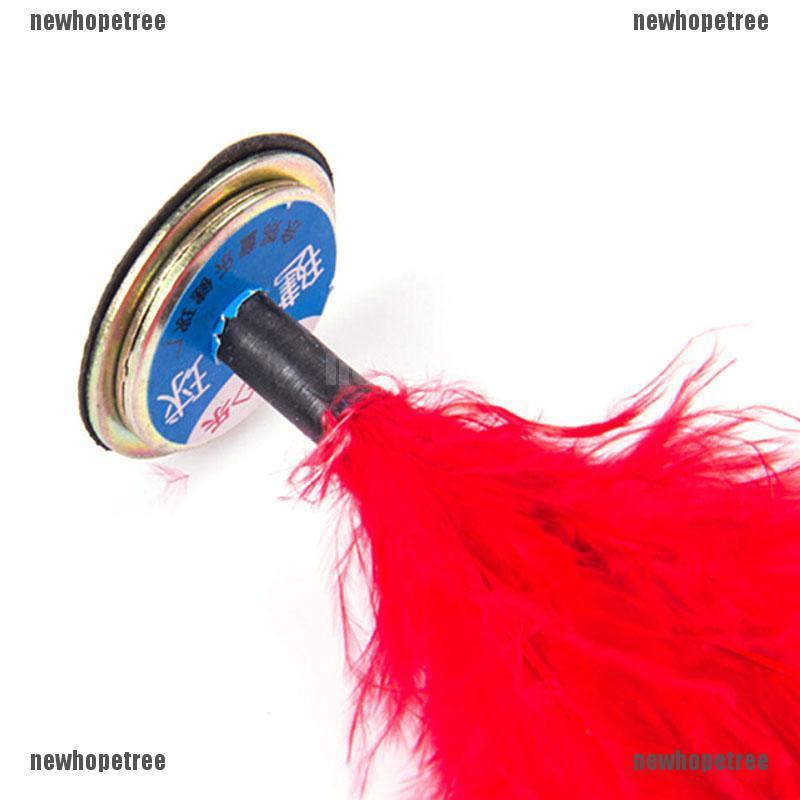 Cầu đá lông sặc sỡ