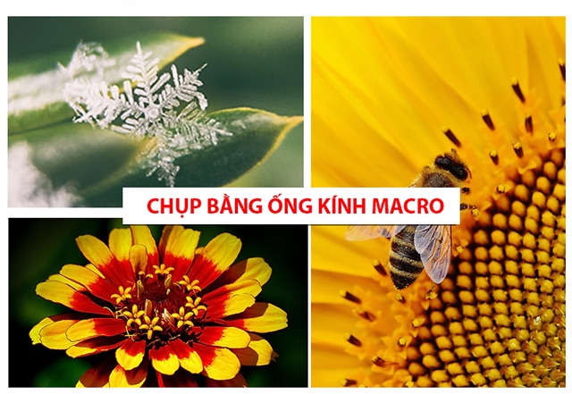 Ống kính macro 15x cho điện thoại | BigBuy360 - bigbuy360.vn