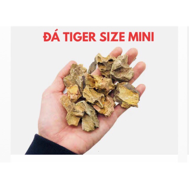 [300 GRAM] Đá Tiger Size Mini SetUp Hồ Cá, Thuỷ Sinh