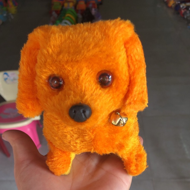 Chó  biết đi biết sủa