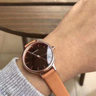 Đồng hồ nữ Skagen SKW2413