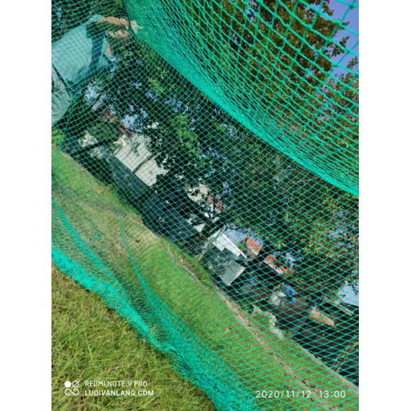 Lưới Golf
