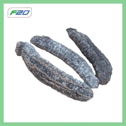 Combo 5 con hải sâm khô - Hải Sâm Đen Nha Trang