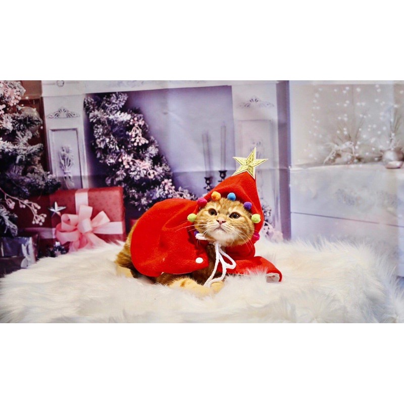 ÁO CHOÀNG NOEL CHO MÈO