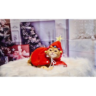 ÁO CHOÀNG NOEL CHO MÈO