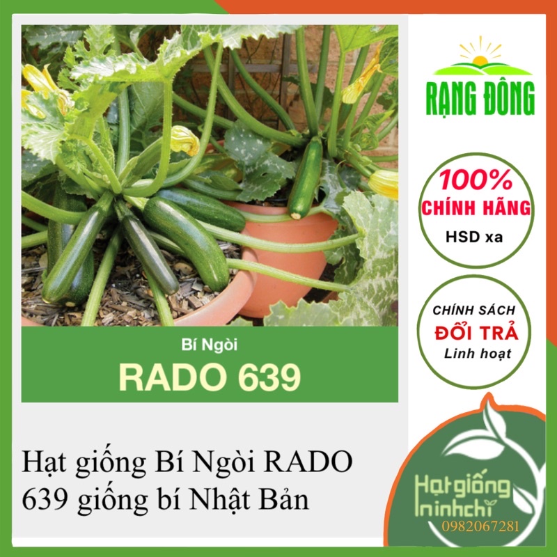Hạt giống Bí Ngòi quả dài RADO 639 giống bí Nhật Bản
