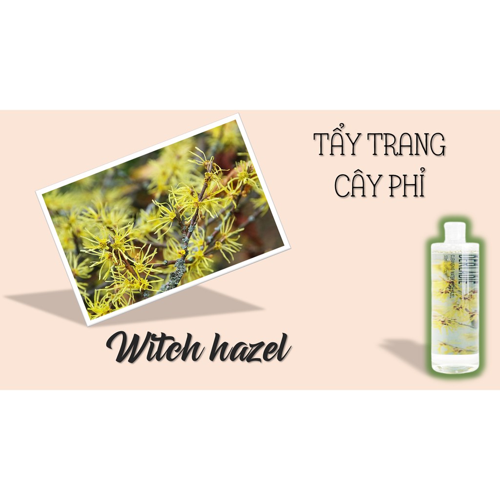 Nước Tẩy trang Derladie cây phỉ dành cho da nhạy cảm, da yếu nhất 500 ml