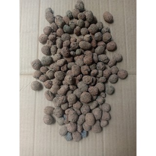 1kg đất nung(sỏi nhẹ) ĐẶNG GIA TRANG