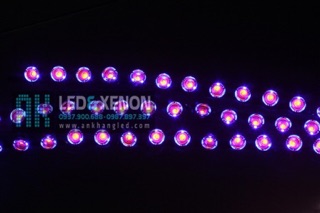 Led olock mắt cú