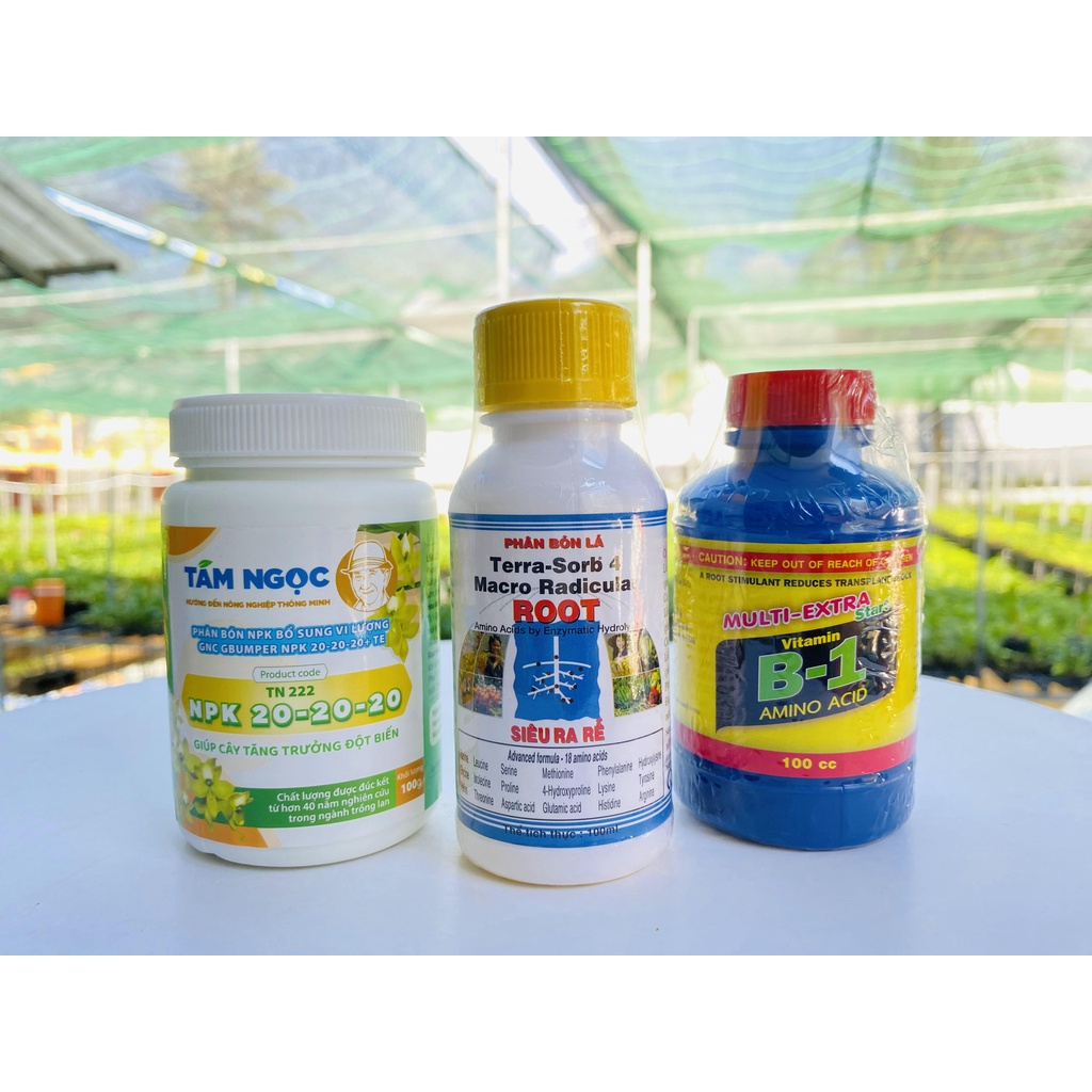 combo phân NPK 20-20-20 thầy Tám Ngọc, Terra-sorb 4, Vitamin B1 Thái Lan