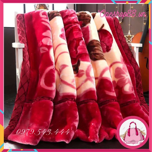 🌺 chăn băng lông tuyết nhung, chăn thái sịn cho mùa đông ấm áp loại 2kg,3kg,4kg,5kg