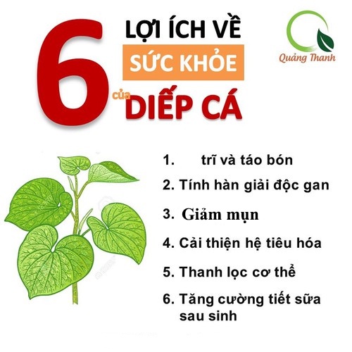 Bột diếp cá nguyên chất sấy lạnh Quảng Thanh gói 100g