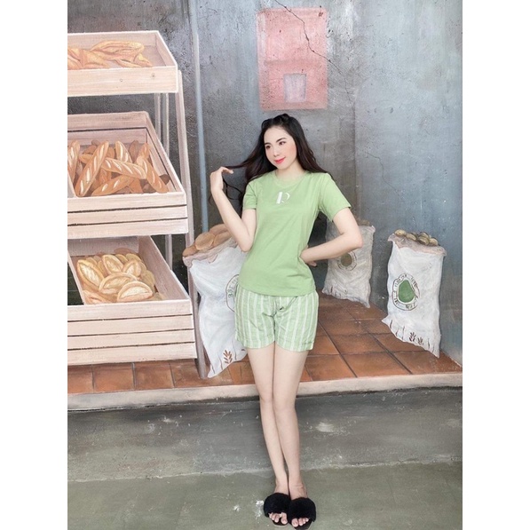 Đồ bộ mặc nhà, đồ bộ ngủ, set bộ đùi thêu chữ chất cotton bigsize tới 85kg