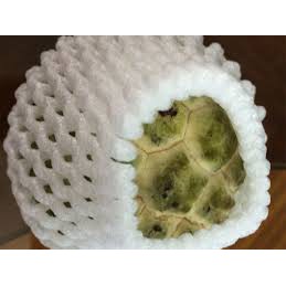 Xốp lưới bọc trái cây 15cm