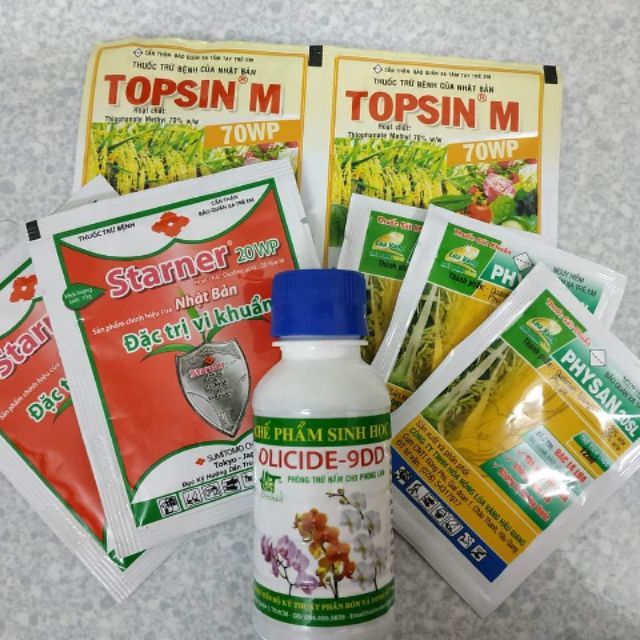 Combo thuốc trị thối phong lan