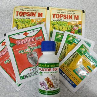 Combo thuốc trị thối phong lan