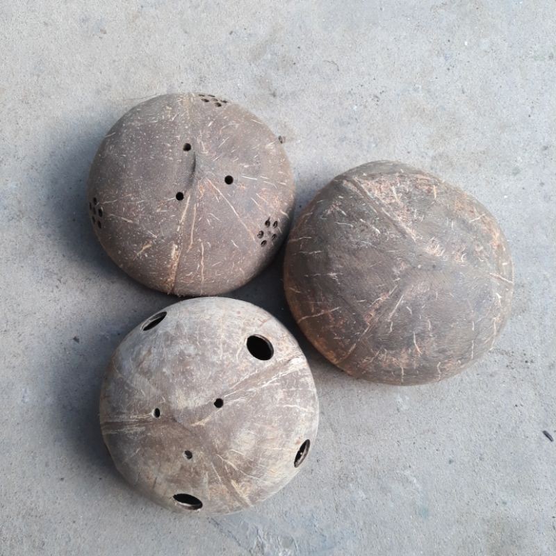 Gáo dừa không hoa văn (thanh lý)