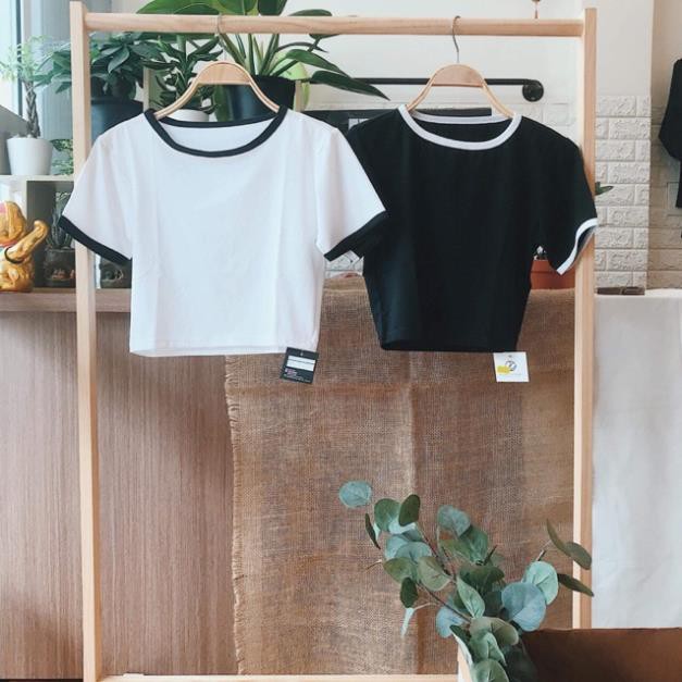 Croptop Cổ Tròn Phối Viền