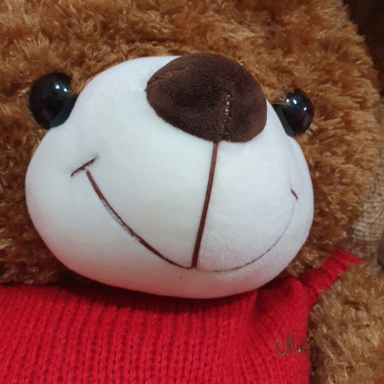 Gấu Bông Teddy  Áo Len Đỏ Gấu bông To Đẹp Hàng Cao Cấp [Hình ảnh thật chụp tại shop size thực 147cm]