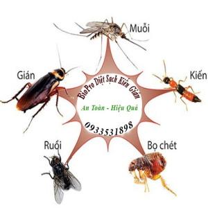 biopro diet kien diet gian