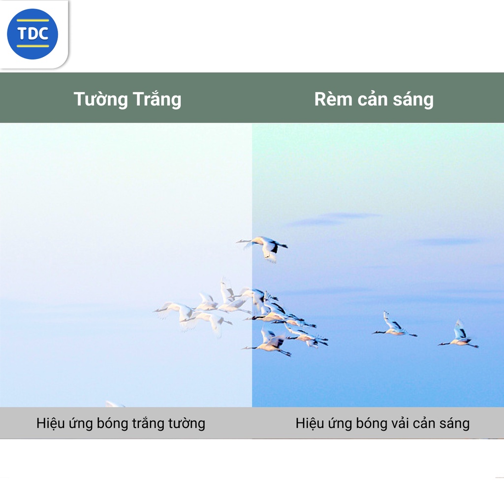 Màn chiếu phản quang dán tường, HD ngoài trời di động 84 inch - TDC Mart