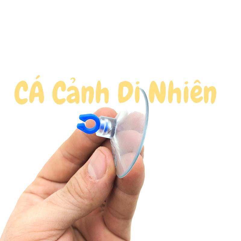 Hít kính giữ ống DÂY OXY 4 MM cho hồ cá cảnh