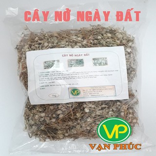 Cây nở ngày đất - 1kg