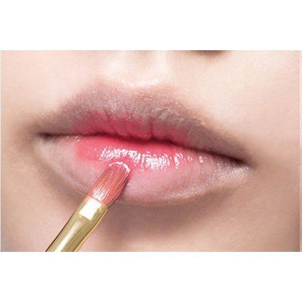 Cọ Môi Lông Dài Vacosi Lip Brush - L01