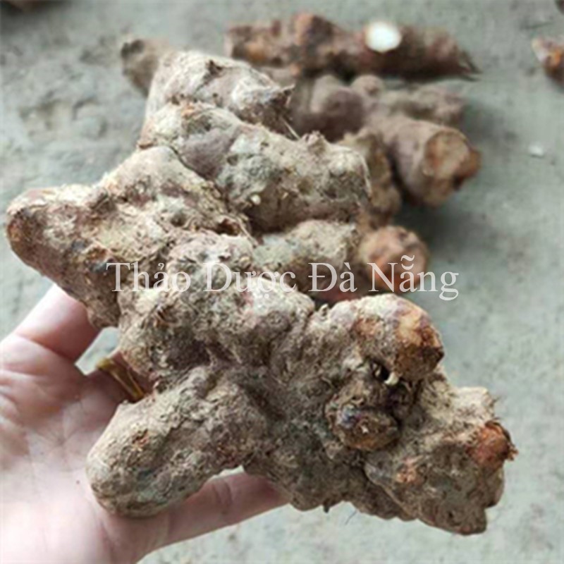 Thổ Phục Linh Loại Ngọt Chuẩn Xịn 100 gram
