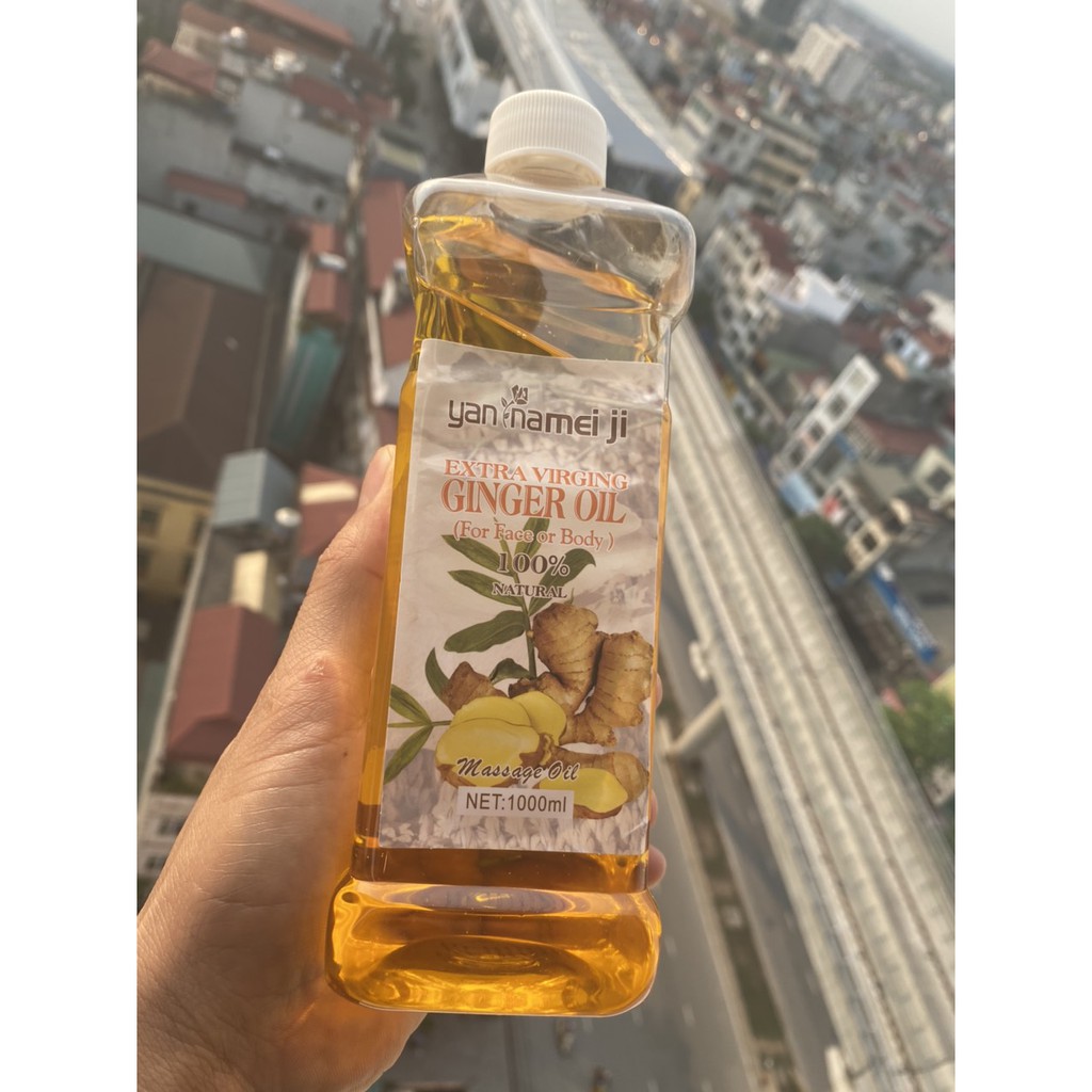 tinh dầu masa gừng chai 550ml