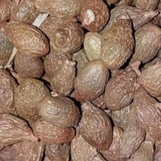 1kg Quả ươi rừng (ươi bay)