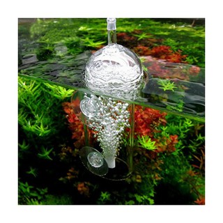 Cốc sủi chống văng nước