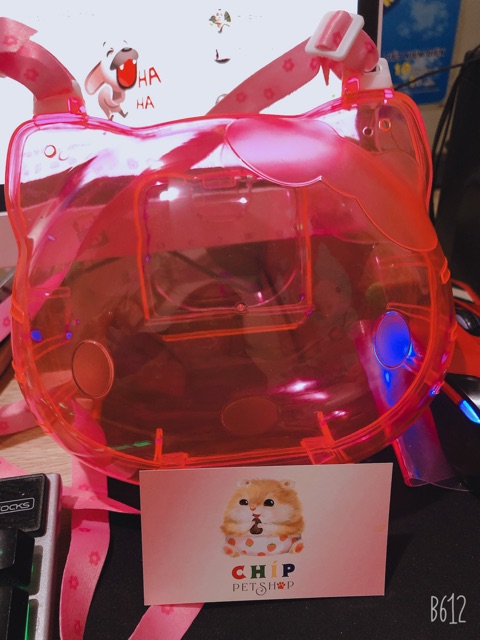 Lồng vận chuyển Kitty