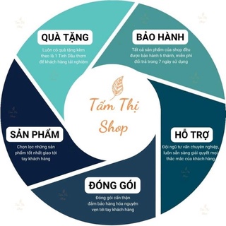 Máy Sông Tinh Dầu Bí Ngô 550ml Cỡ Lớn Cao Cấp Đuổi Muỗi &amp; Côn Trùng Tỏa Hương Tạo Ẩm Cho Phòng Ngủ Và Phòng Spa