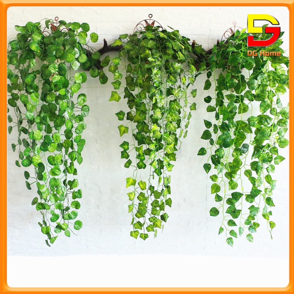Giỏ Dây Leo Treo Tường Nhiều Mẫu Độc Đáo Đã Cắm Sẵn Dài 90cm Tặng Móc 3D DC-46