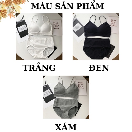 Áo Ngực Nữ Quần Lót Cotton - Bộ Đồ Lót Nữ Không Gọng Đệm Mỏng Freesize  AMYBRA B3211