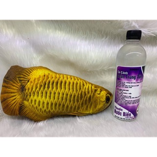 Cá Cảnh Đoàn Trung Tân Dung dịch xử lý trùng mỏ neo,trùng sán,trùng mốc