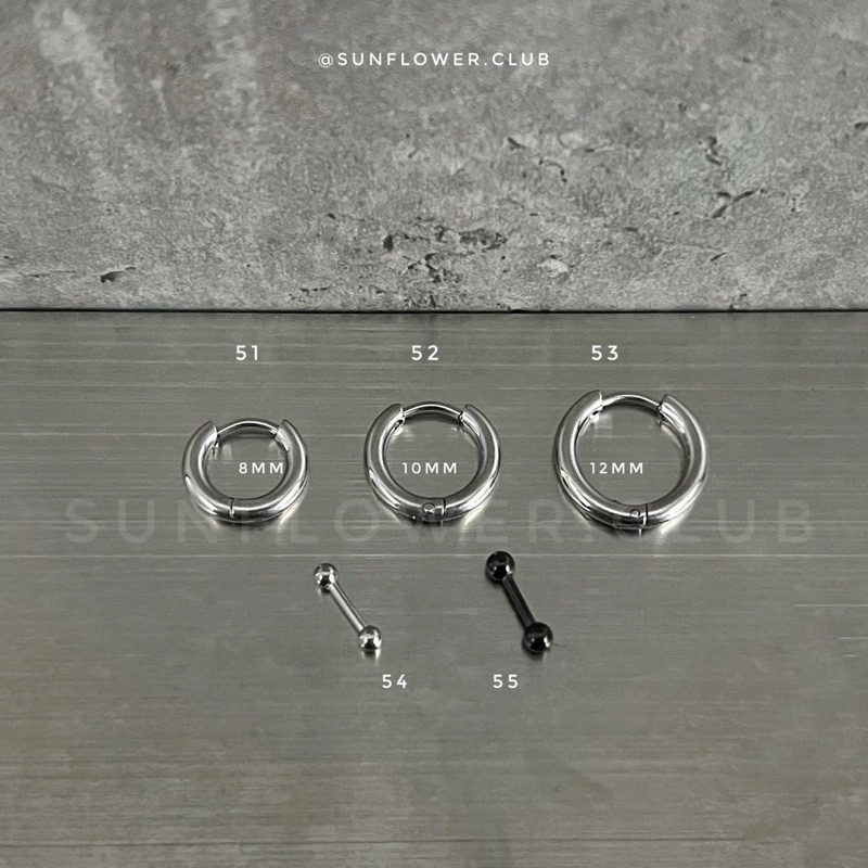 Bông tai basic cơ bản thép không gỉ không bay màu