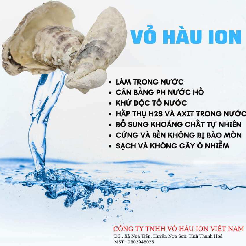 Vật liệu lọc Vỏ hàu ion đá nhập khẩu chính hãng từ Trại Koi Nhật Bản