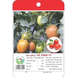 Hạt giống Cà chua F1